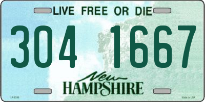 NH license plate 3041667