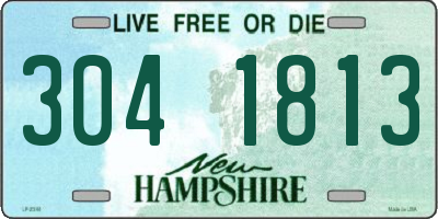 NH license plate 3041813