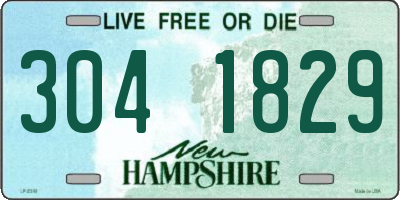 NH license plate 3041829