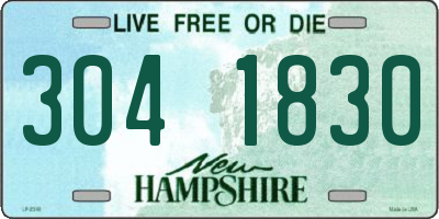 NH license plate 3041830