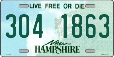 NH license plate 3041863