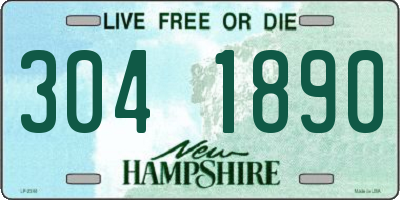 NH license plate 3041890