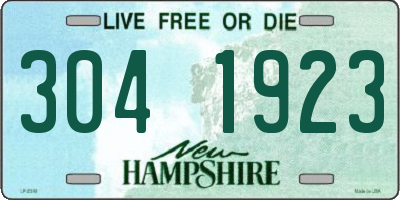 NH license plate 3041923