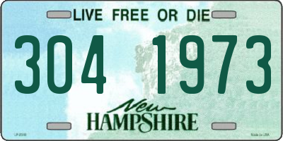 NH license plate 3041973