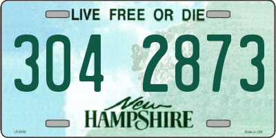 NH license plate 3042873