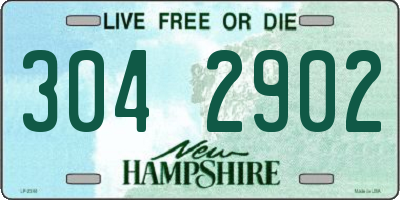 NH license plate 3042902