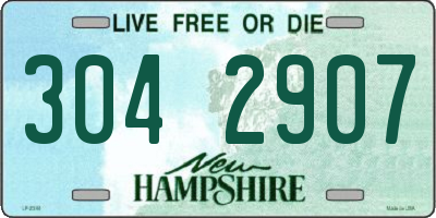NH license plate 3042907