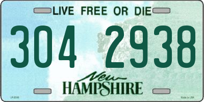 NH license plate 3042938