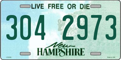 NH license plate 3042973
