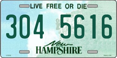 NH license plate 3045616