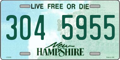 NH license plate 3045955