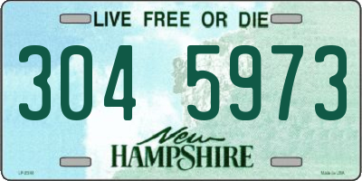 NH license plate 3045973