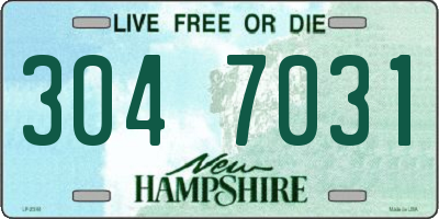 NH license plate 3047031