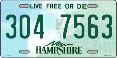 NH license plate 3047563