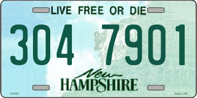 NH license plate 3047901