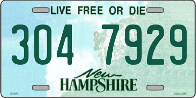 NH license plate 3047929