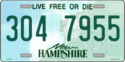 NH license plate 3047955