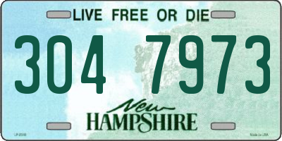 NH license plate 3047973