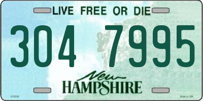 NH license plate 3047995