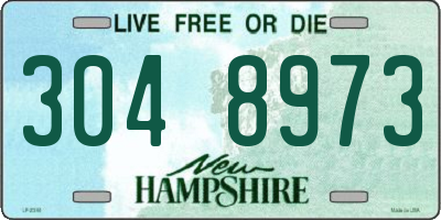 NH license plate 3048973
