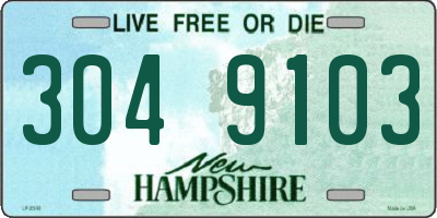 NH license plate 3049103