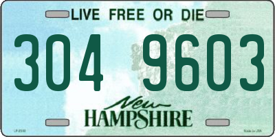 NH license plate 3049603