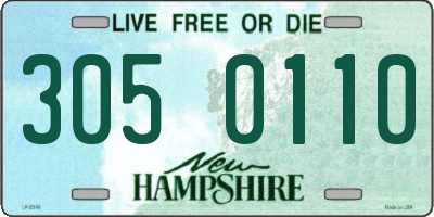 NH license plate 3050110