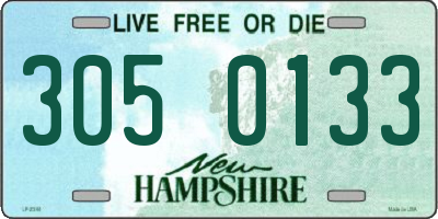 NH license plate 3050133