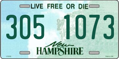 NH license plate 3051073