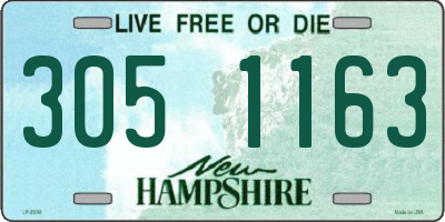 NH license plate 3051163