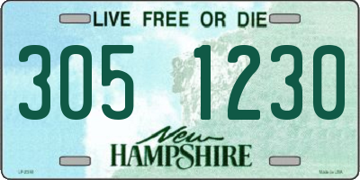 NH license plate 3051230