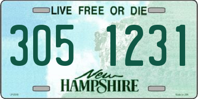 NH license plate 3051231