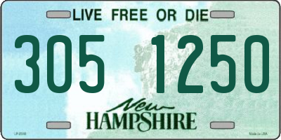 NH license plate 3051250