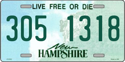 NH license plate 3051318