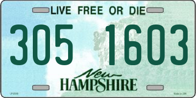 NH license plate 3051603