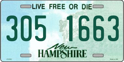 NH license plate 3051663
