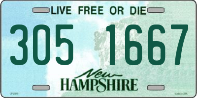 NH license plate 3051667