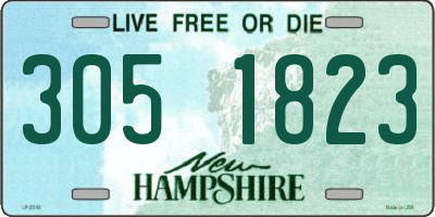 NH license plate 3051823