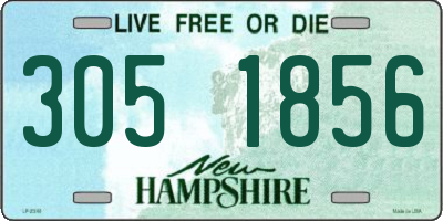 NH license plate 3051856