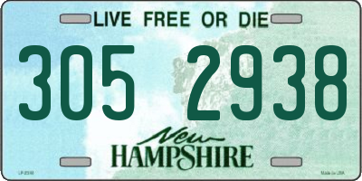 NH license plate 3052938