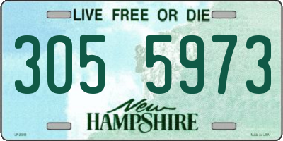 NH license plate 3055973