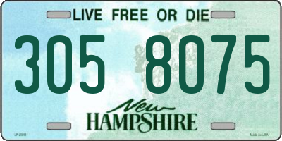 NH license plate 3058075