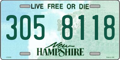 NH license plate 3058118