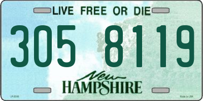 NH license plate 3058119