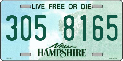 NH license plate 3058165