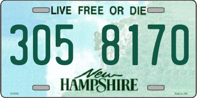 NH license plate 3058170