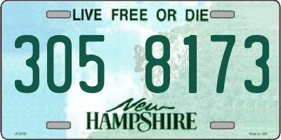NH license plate 3058173