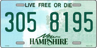 NH license plate 3058195