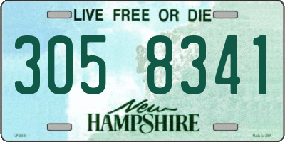 NH license plate 3058341