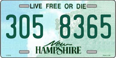 NH license plate 3058365